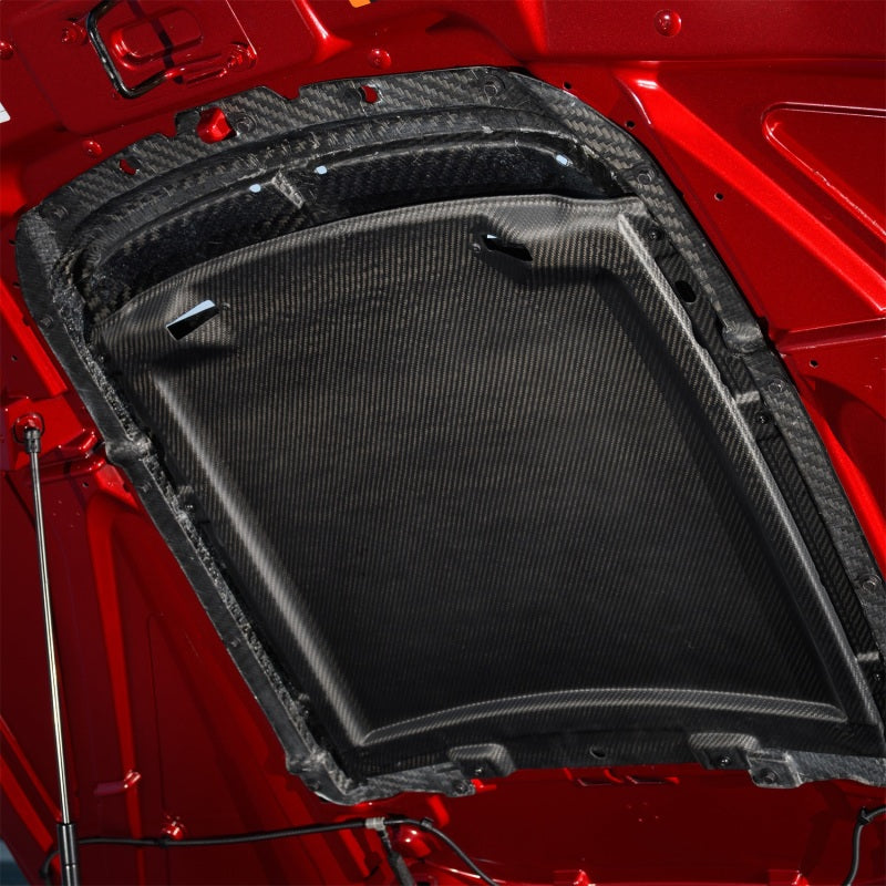 Ford Racing 20-21 Mustang GT500 Carbon Fiber Hood Vent Kit